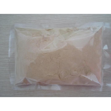 Chinese Dried Onion Powder with Carton Packing